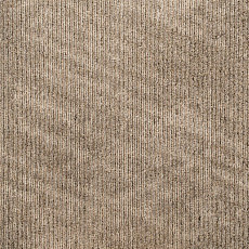 Ковровая плитка Art Exposure Коллекция Academic View Academic View 853 фото 1 | FLOORDEALER